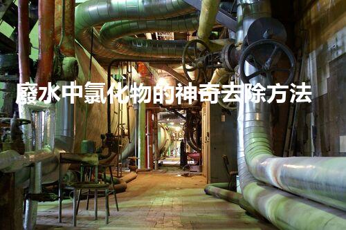 廢水中氯化物的神奇去除方法，竟然能做到這一點(diǎn)？！
